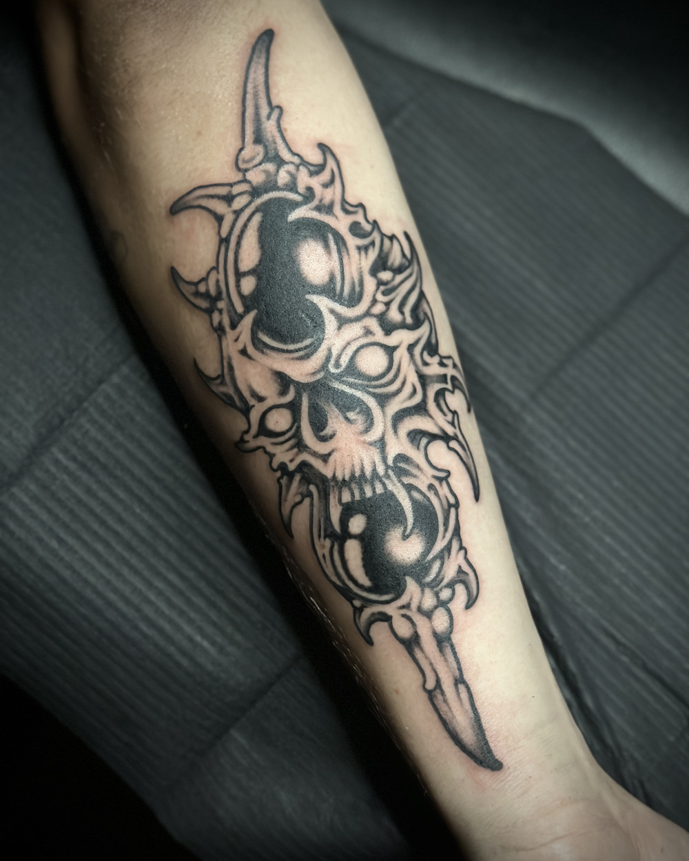 soko-skull-2.jpg